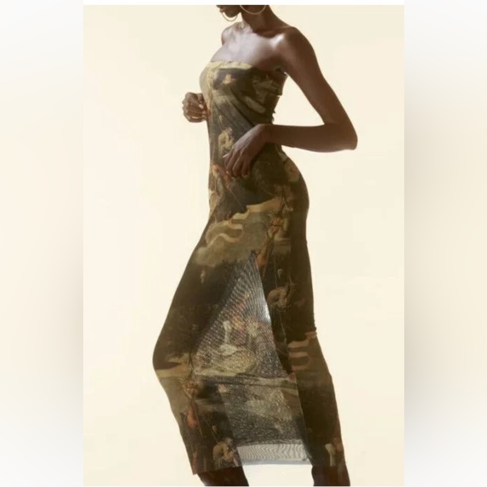 Zara Hieronymus Bosch Ship Of Fools Mesh Strapless Midi Dress Size Medium